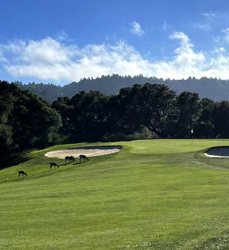 Crystal Springs Golf Course