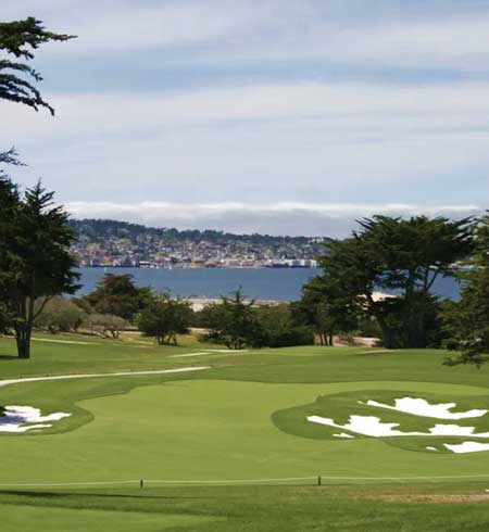 Bayonet and Black Horse