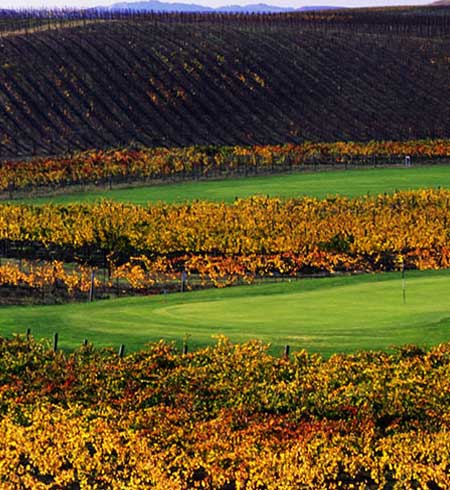 Chardonnay Golf Club & Vineyards