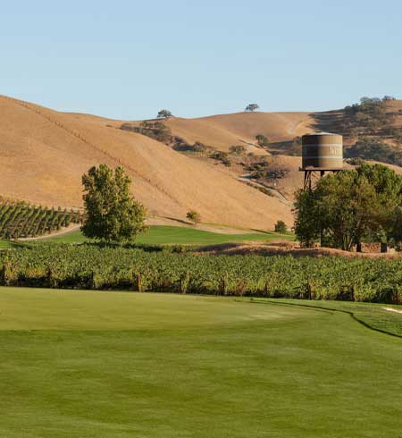 The Course at Wente Vineyards